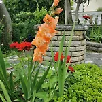 Nicole Dom wakacyjny