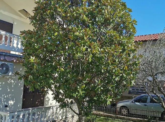 Nicole Сasa de vacaciones