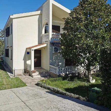 Nicole Vikendica *
