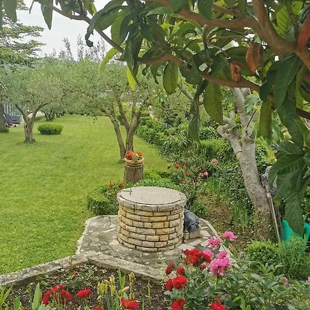 Casa vacanze Nicole *