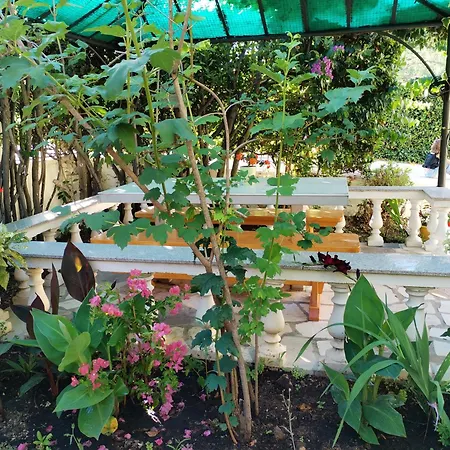 Nicole * ビビニェ