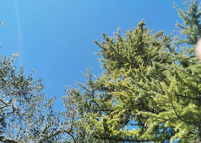 Nicole 度假居 比比涅