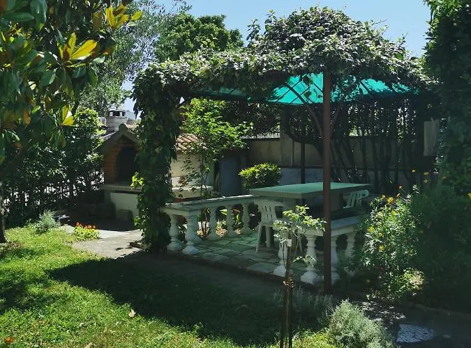 Nicole Vikendica